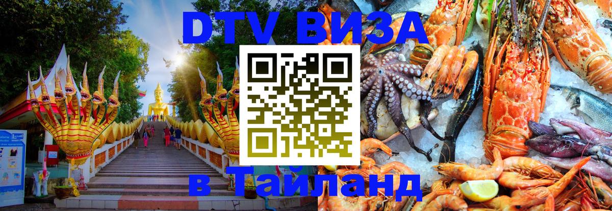 Оформление DTV визы под ключ: стоимость и тарифы, только загранпаспорт - Астана  19.11.2025 